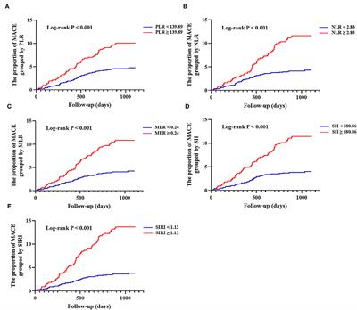 Prognostic Impact of Multiple Lymphocyte-Based Inflammatory Indices in Acute Coronary Syndrome Patients